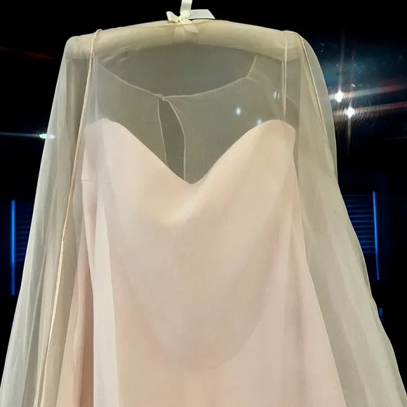 Neiman Marcus Badgley Mischka Blush Pink Strapless Gown w Organza Sheer Overlay - Picture 2 of 9